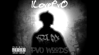 ILovePvO - PvO Woods 0 Intro