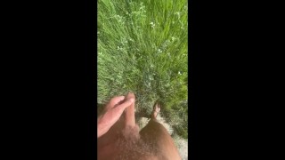 Hung Lad Rewilding / Pissing in Nature manhoodacademyDOTpodiaDOTcom