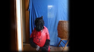 Ich sauf mir nen Wolf! :D
