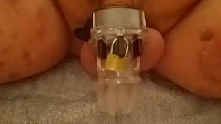 Chubby castiti cage vibrator cum