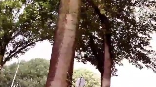 Slutboyben CAM4 Cock Milk In Public