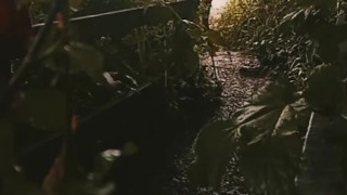 Extreme ball weights Naked in bushes at roadside