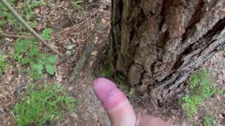 Morning masturbation in woods, huge cumshot