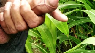 Outdoor handjob and cumshot on grass