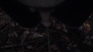 Peeing in the evening outdoors