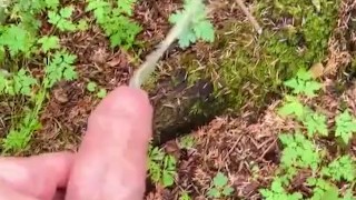 Horny Lad Pissing In The Forest