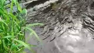 Shooting A Cumshot Over The Water