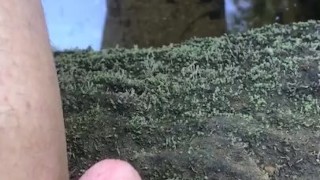 Sit down and pee in river/stream