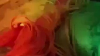 Gif Hazelnutxxx Pornstar 2021