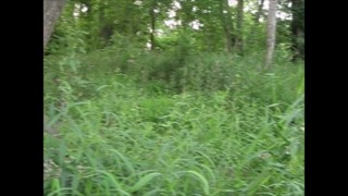 Enjoying a day in the woods