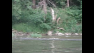 swimming