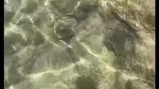 Chubby straight teen wanking at a gay nude beach | StraightGuy1996