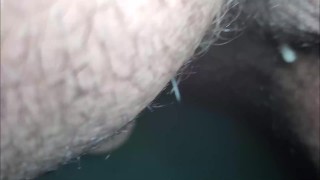 Back POV anal Penetration swap Front Doggy / Plug
