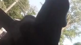 Just playing with my dick outside