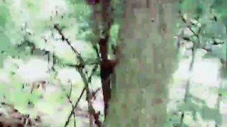 Slutboyben CAM4 ExpozzeD Next To HIGHway