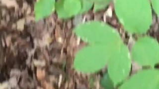 Stop Hiking and Fuck Me - POV Standing Doggystyle - Outdoor Sex - Cum In her Panties - Almost Caught