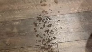 COCK EXPLODES HUGE CUMLOAD IN HOTEL BATHROOM 