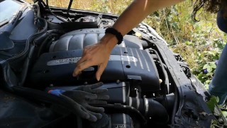 starting an abandended car after 8 months watch the wasps