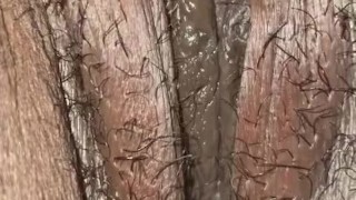 Pussy ready to stick
