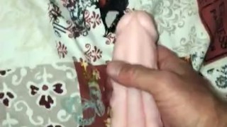 Using My Pipedream PDX Male Dirty Talk Interactive Fuck My Cock Anal Stroker & Vibrating Masturbator