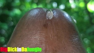 Lots of Delicious Precum peeks out and slowly Drips down my BBC got me so Horny and excited!