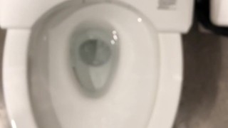 spy?-２　Infiltrate a public institution and pee