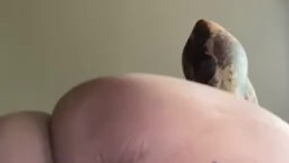 big ass BBW face sitting 