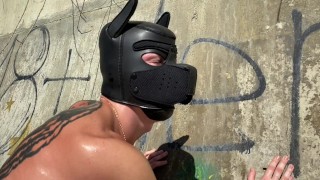 Трахнул своего парня на пляже в костюме собаки