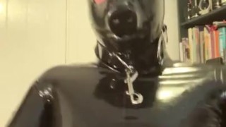 Full rubber pig jerks and cums 