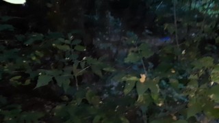 Сделала мне кунилингус возле проезжей трассы на виду у прохожих - lesbian_illusion