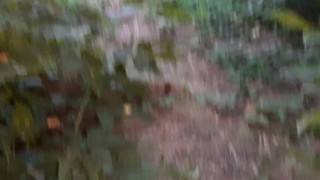 Сделала мне кунилингус возле проезжей трассы на виду у прохожих - lesbian_illusion