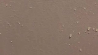 Piss paint my refrigerator just to watch it splash