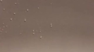 Piss paint my refrigerator just to watch it splash