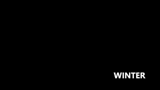 DesireSFM-Winter The Last of Us Part II