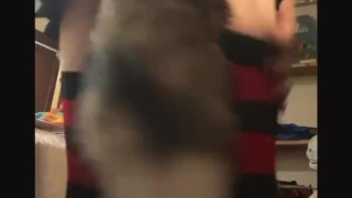 Sky Foxy shows off his tight hole on live stream and fucks it with tail plug