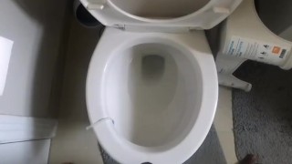 Piss Compilation (One Day of Piss) 