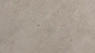 I Rub My Large Teen Cock at The Public Mailbox to Shoot Cum