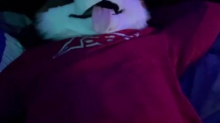 Horny collie murrsuit gets a handjob