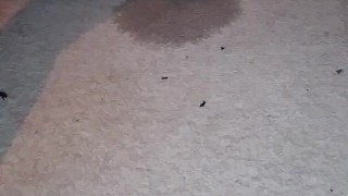 Masturbating while needing to pee and then peeing all over my carpet