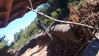 Desnudo bajo el puente