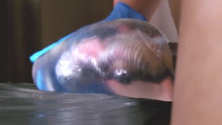 Creampie, Moaning, Cumshot, Countdown, Transparent fleshlight, 中出し、喘ぎ声、オナホ、カウントダウン