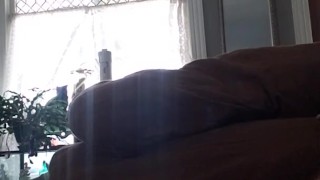 Jack Rabbit Quick Jerk Off Home Alone