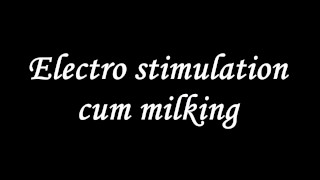 Electro stimulation cum milking