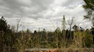 Jacking off on the edge of a cliff in public Uncut cock cumshot