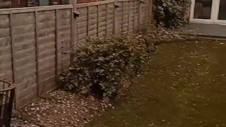 Naked in the garden in view of neighbour