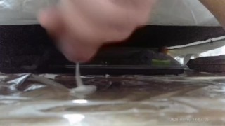 milking