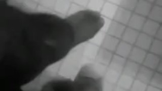 GRANDKLASS BATHROOM MOAN +STROKE 
