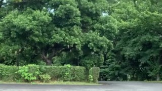 A Korean idol doing sex training in a park near the Tokyo Olympics venue! [Big ass][Big dick]