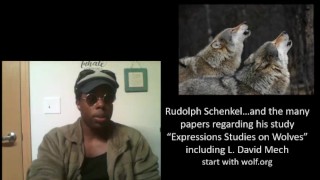 Pro Sex Work: A Ruminating Refute of Anti-Sex Work and Those Oppositional Variances