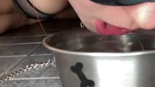 drinking from a dog bowl, bdsm